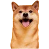 🐕