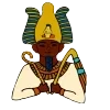 👑