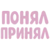 🫡