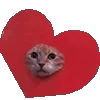 ❤️