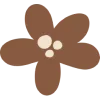 🌼