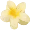 🌼