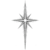 🌟