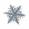❄️