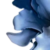 💙