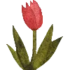🌷