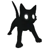🐈