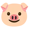 🐷