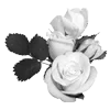 🌹