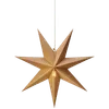 🌟
