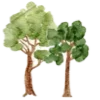 🌳