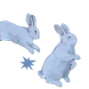 🐇