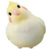 🐥
