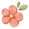 🌺