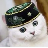 🐱