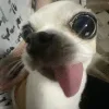 🤩