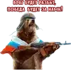 ✌