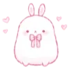 🐇