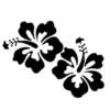 🏵️