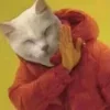 ✋