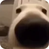 👀