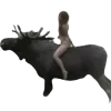 🫎