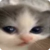 🥺