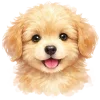 🐶