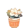 🪴