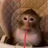 🥤