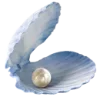 🐚
