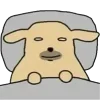 😴
