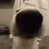 👃