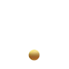 💰