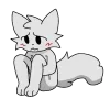 🐱