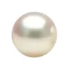 🐚