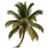 🏖️