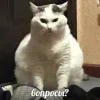 😠