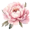 🌸