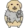 🐶