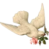 🕊