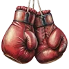 🥊