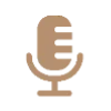 🎙