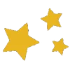 🌟