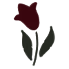 🌹