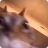 💀