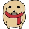 🧣