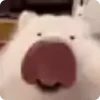 👅
