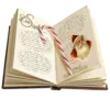 📖