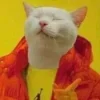 ☝